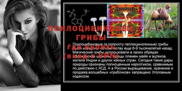 ГАЛЛЮЦИНОГЕННЫЕ ГРИБЫ Белокуриха