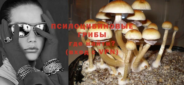 гашик Сосновка