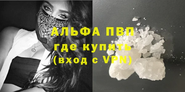 гашик Сосновка