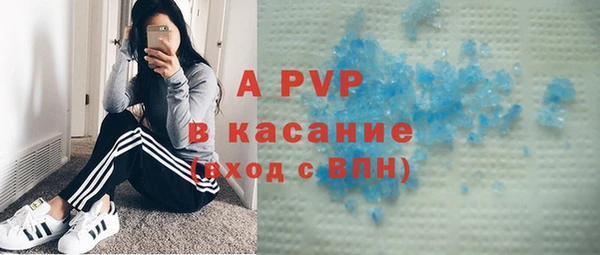 ГАЛЛЮЦИНОГЕННЫЕ ГРИБЫ Белокуриха