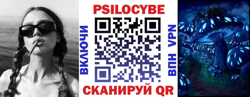 Псилоцибиновые грибы Psilocybine cubensis  Буинск 